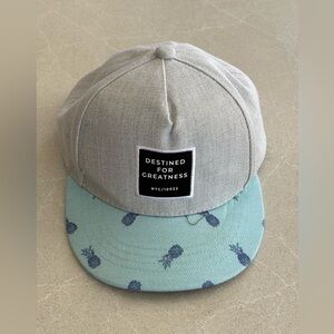 Urban Heritage Youth SnapBack Hat Gray Light Blue Pineapple Greatness Mesh